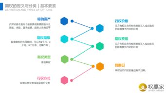 上海網絡技術服務 構筑智慧城市神經中樞