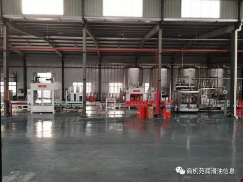 米多科技 技術深耕，服務踐行——上海網絡技術服務引領新篇章